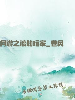 网游之渡劫玩家