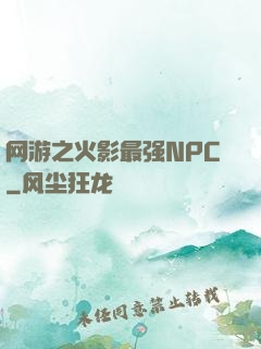 网游之火影最强NPC