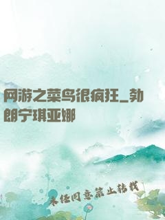 网游之菜鸟很疯狂