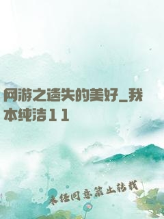 网游之遗失的美好