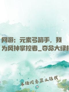 网游：元素弓箭手，我为风神掌控者