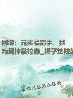 网游：元素弓箭手，我为风神掌控者