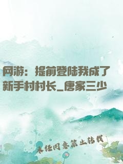 网游：提前登陆我成了新手村村长