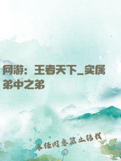 网游：王者天下
