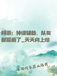 网游：神级辅助，队友都赢麻了