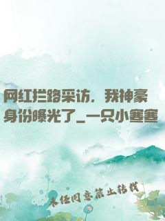 网红拦路采访，我神豪身份曝光了