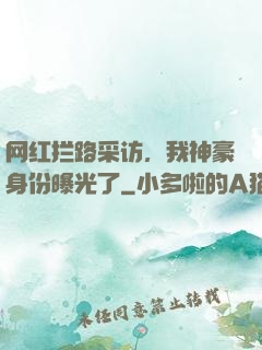 网红拦路采访，我神豪身份曝光了