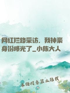 网红拦路采访，我神豪身份曝光了