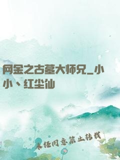 网金之古墓大师兄