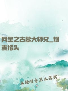 网金之古墓大师兄