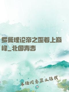 罗曼理论帝之歪着上巅峰