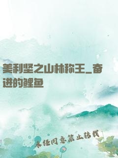 美利坚之山林称王