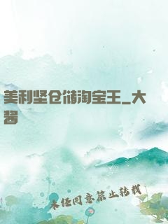 美利坚仓储淘宝王
