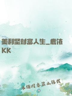 美利坚财富人生