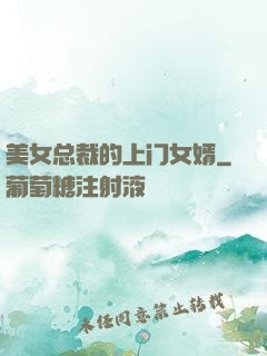 美女总裁的上门女婿