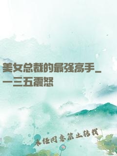 美女总裁的最强高手