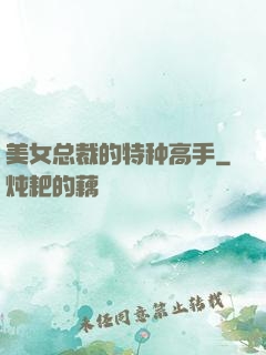 美女总裁的特种高手