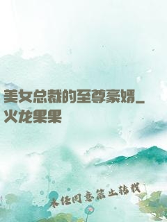 美女总裁的至尊豪婿