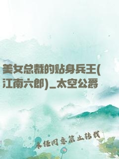 美女总裁的贴身兵王(江南六郎)