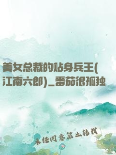 美女总裁的贴身兵王(江南六郎)