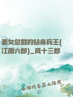 美女总裁的贴身兵王(江南六郎)