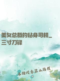 美女总裁的贴身司机