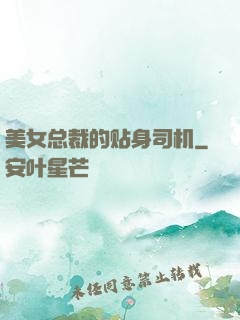 美女总裁的贴身司机