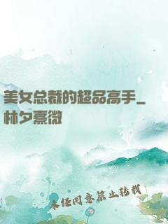 美女总裁的超品高手