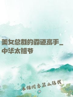 美女总裁的霸道高手