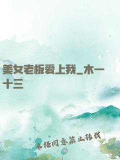 美女老板爱上我