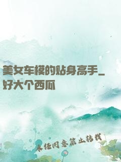 美女车模的贴身高手