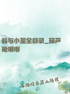 翁与小莹全目录