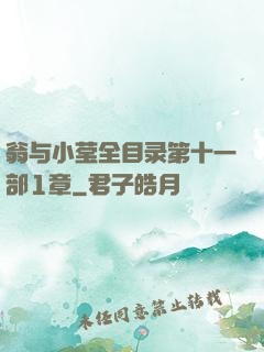 翁与小莹全目录第十一部1章