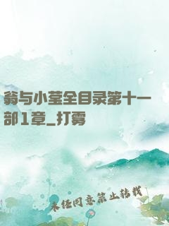 翁与小莹全目录第十一部1章