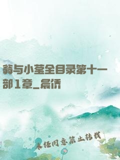 翁与小莹全目录第十一部1章