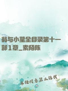 翁与小莹全目录第十一部1章