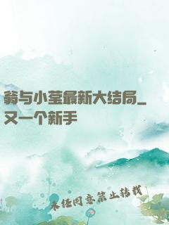 翁与小莹最新大结局