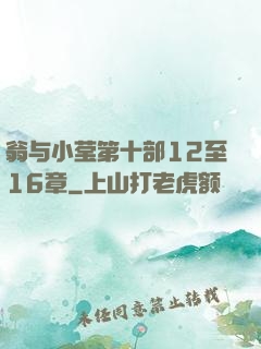 翁与小莹第十部12至16章