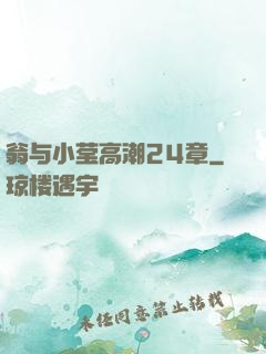 翁与小莹高潮24章