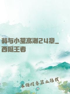 翁与小莹高潮24章