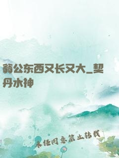 翁公东西又长又大