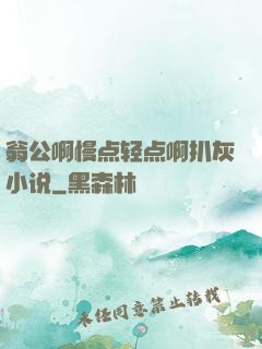 翁公啊慢点轻点啊扒灰小说