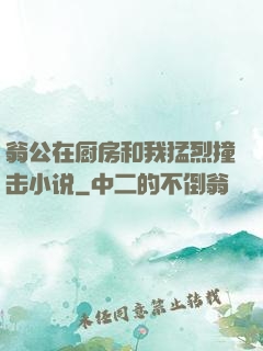 翁公在厨房和我猛烈撞击小说