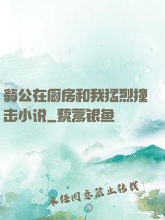 翁公在厨房和我猛烈撞击小说