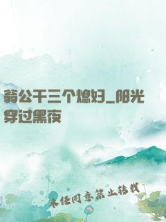 翁公干三个熄妇