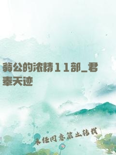 翁公的浓精11部