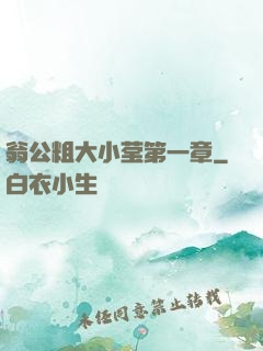 翁公粗大小莹第一章