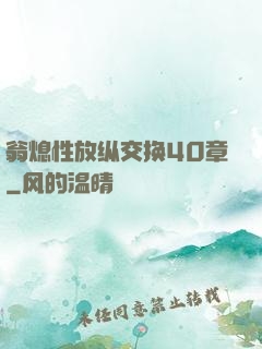 翁熄性放纵交换40章
