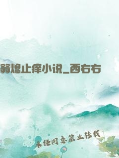 翁熄止痒小说