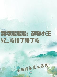 翻墙逃逃逃：萌物小王妃